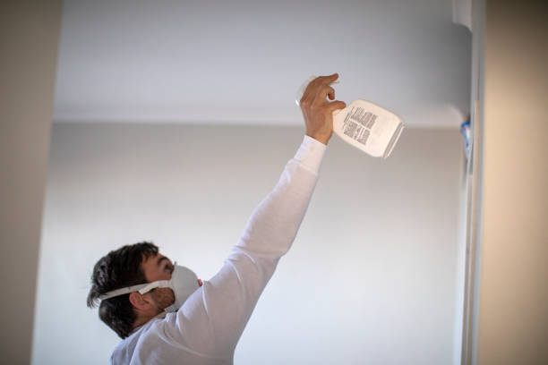 Best Water Damage Restoration  in Parma, OH
